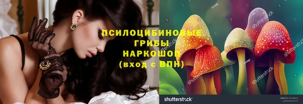 2c-b Алзамай