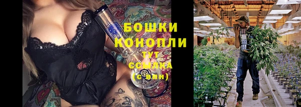 2c-b Алзамай