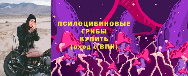 2c-b Алзамай